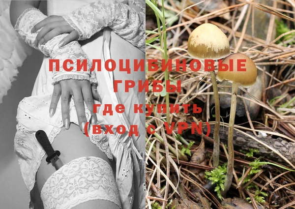 хмурый Абдулино