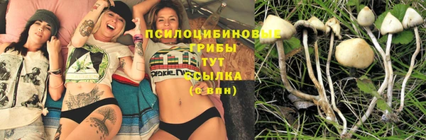 хмурый Абдулино
